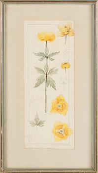 GERDA LYTTKENS, 10 st, akvareller, signerade.