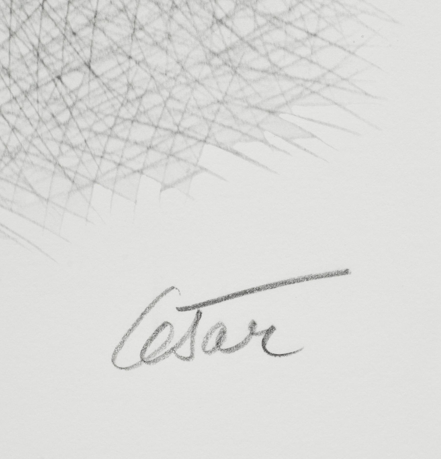 CÉSAR BALDACCINI, färgserigrafi, signerad och numrerad 83/200.