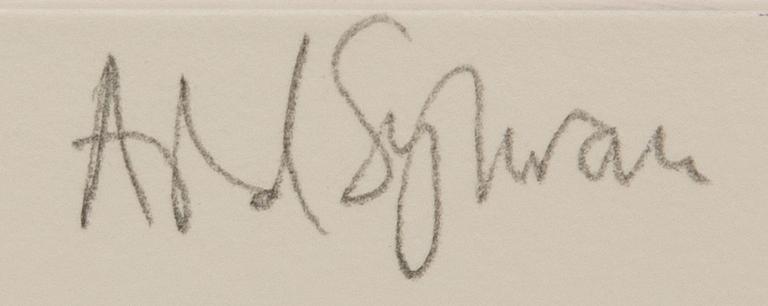 Astrid Sylwan, untitled.