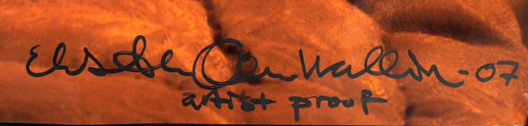 ELISABETH OHLSON WALLIN, fotografi, sign o dat 07. A P.