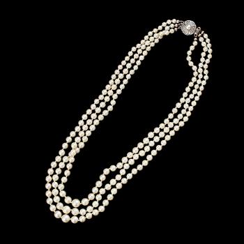 COLLIER, odlade pärlor, lås i silver.