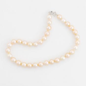 A cultured South Sea pearl necklace.