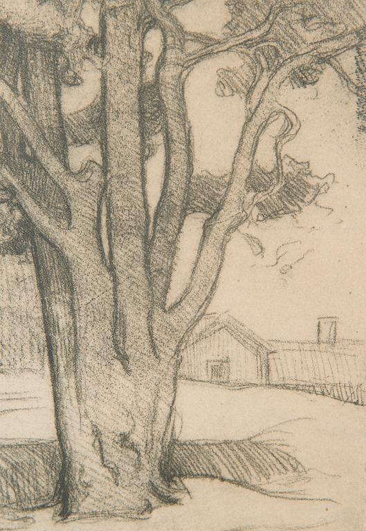 Eero Järnefelt, "Tuomalan mänty I".