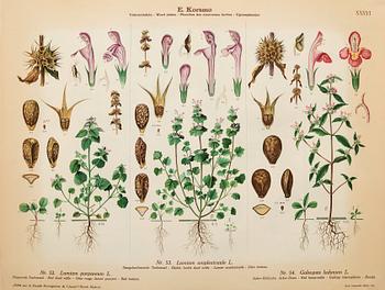 Emil Korsmo, 29 lithographic weed plates.