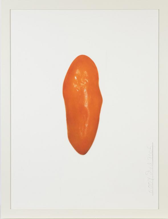 Dawid, photograph signed and dated 2005.