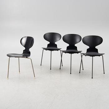 Arne Jacobsen, four "Ant" chairs,  Fritz Hansen, Denmark, second half of the 20th century respectively 2024.