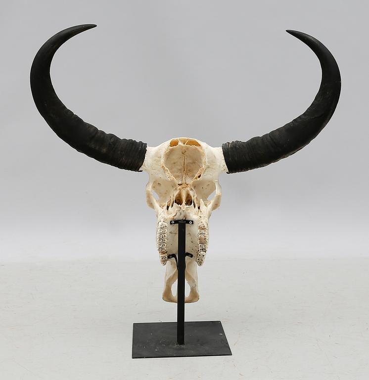 SKULPTUR, 2000-tal.