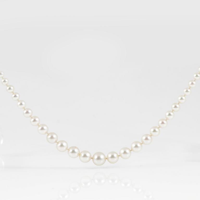 COLLIER,  odlade saltvattenspärlor, 14 K vitguld. 1900-talets första hälft.