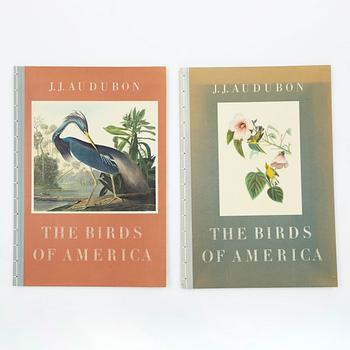 Audubons Birds of America.