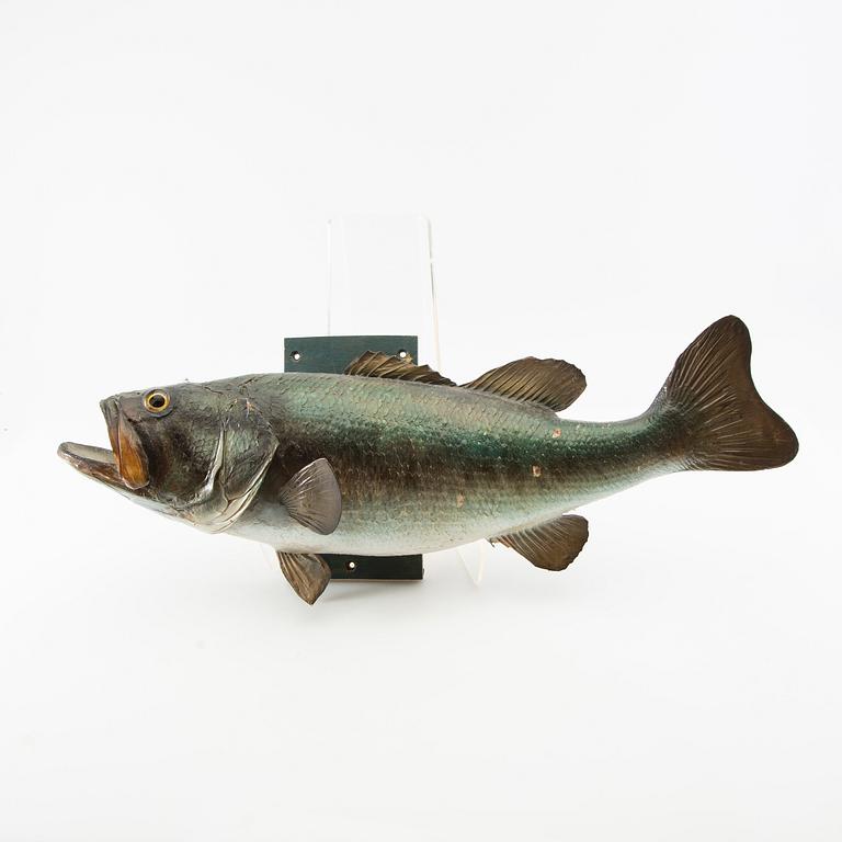 Fish sculpture "Black bass" 1960.
