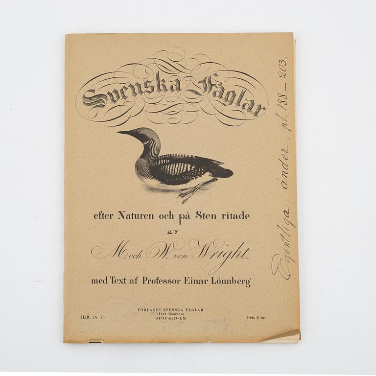 Bröderna von Wright, planschverk, "Svenska Fåglar", Ivar Baarsens förlag, Stockholm, 1920-tal.