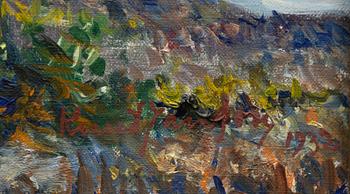 Knut Janson, Kustbild.