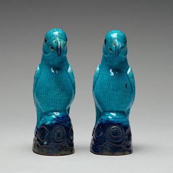 A pair of turquoise and aubergine glazed parrots, Qing dynasty, 19th Century.