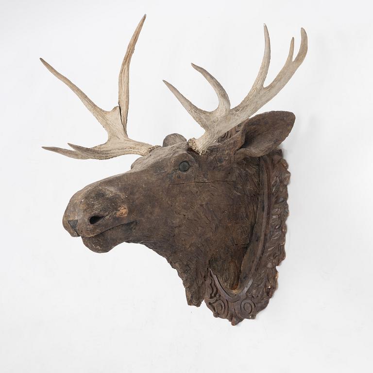 Älghuvud i skuret betsat trä med horn.