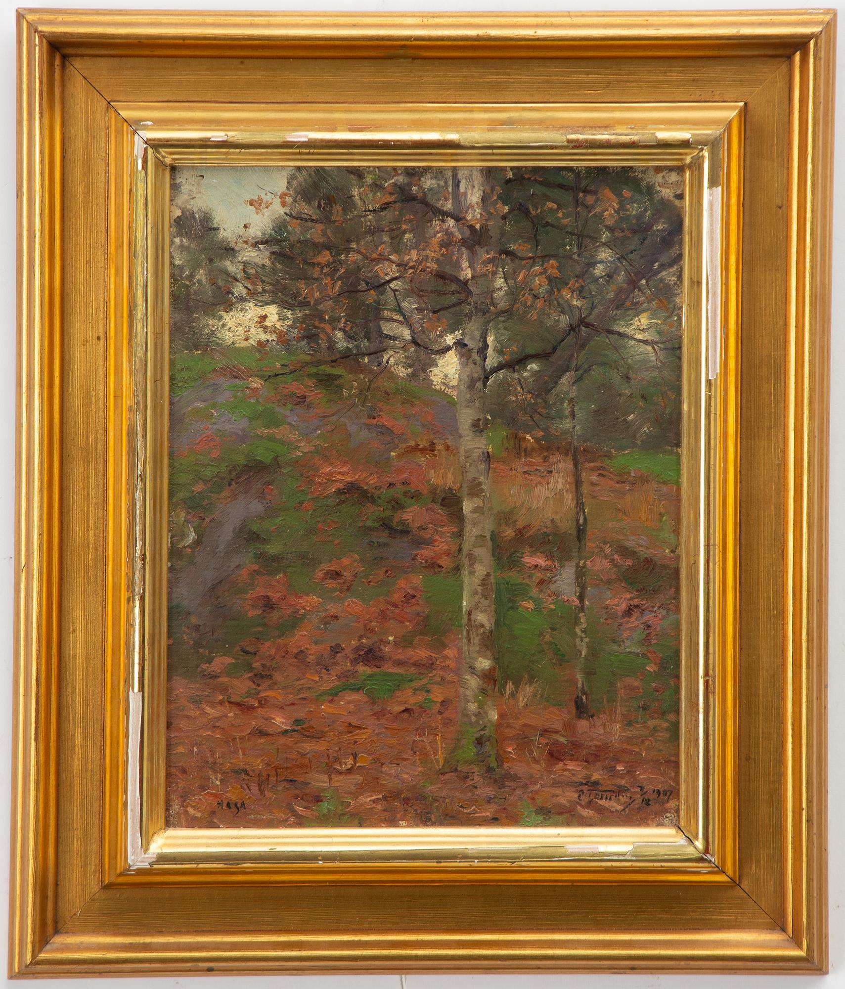 Erik Tryggelin, Autumn Birch.