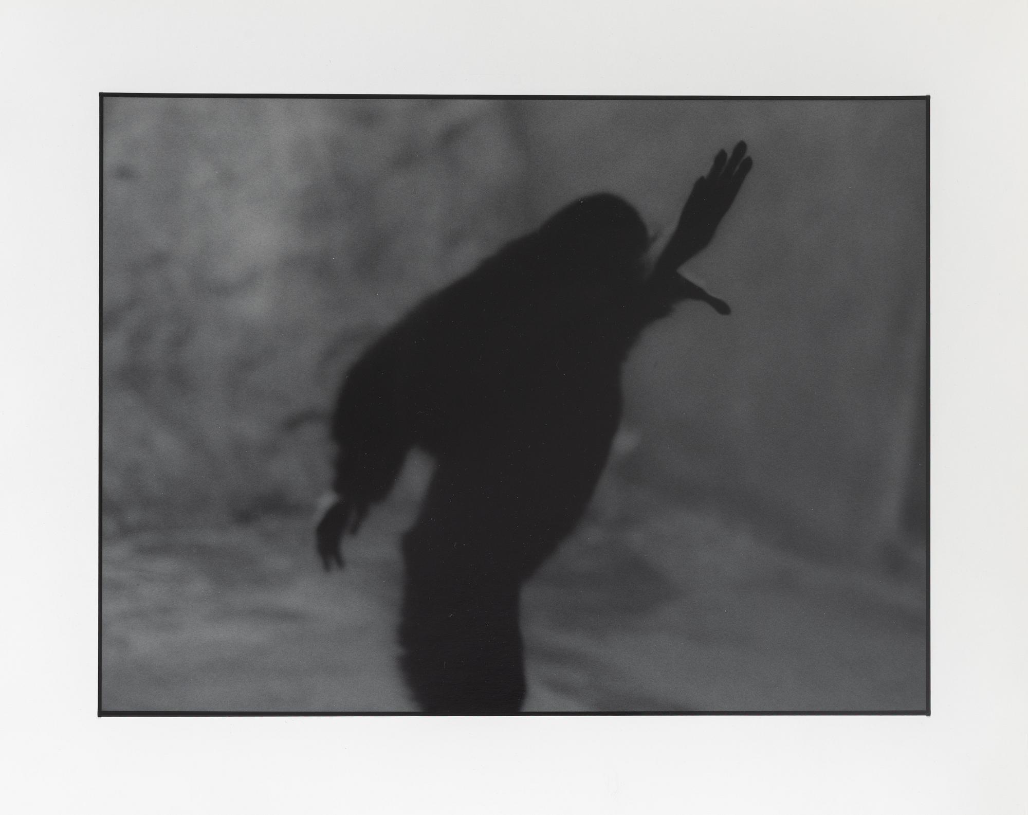 Kenneth Gustavsson, "Untitled (Apan)", 1982.