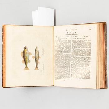 BOOK, with hand coloured dry needle engravings.