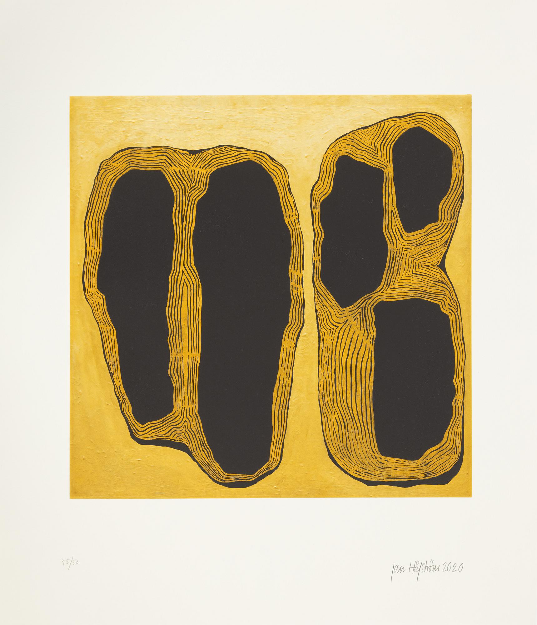 Jan Håfström, etching in colours, 2020, signed 45/50.