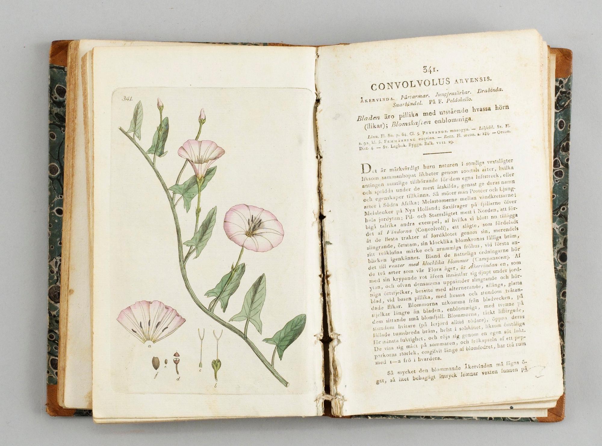 Johan Wilhelm Palmstruch, "Svensk botanik", 8 volymer.