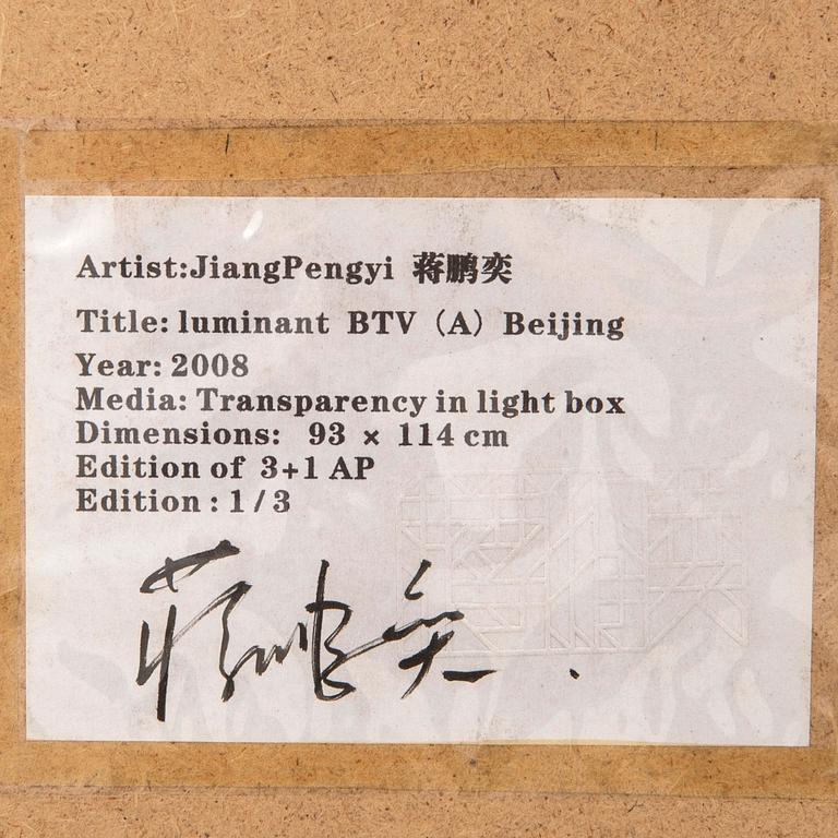 Jiang Pengyi, "Luminant: BTV (A)", 2008.