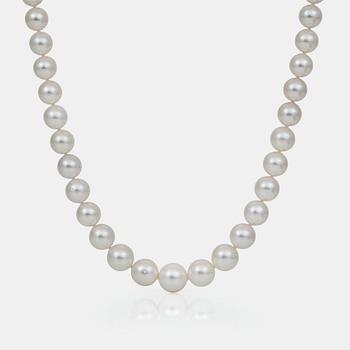 PARLCOLLIER, 'South Sea' cultured pearls with 14K guld clasp.