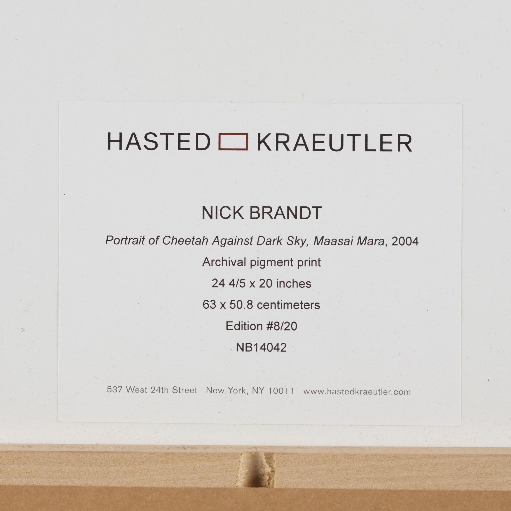 Nick Brandt, "Portrait of Cheetah Against Dark Sky, Masai Mara, 2004".