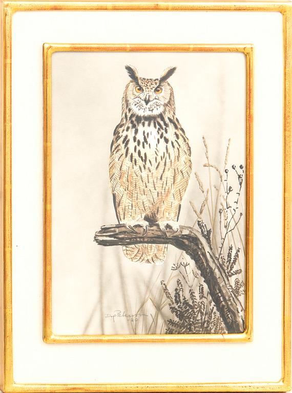 Dag Peterson, Great Horned Owl.