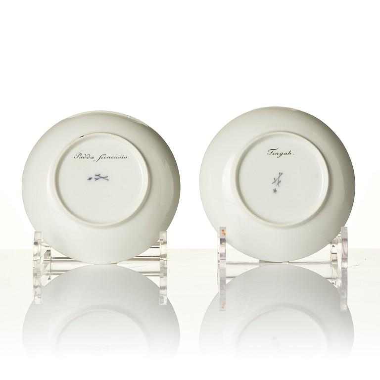 A pair of ornitological Meissen cups with saucers, period of Marcolini (1774-1814).