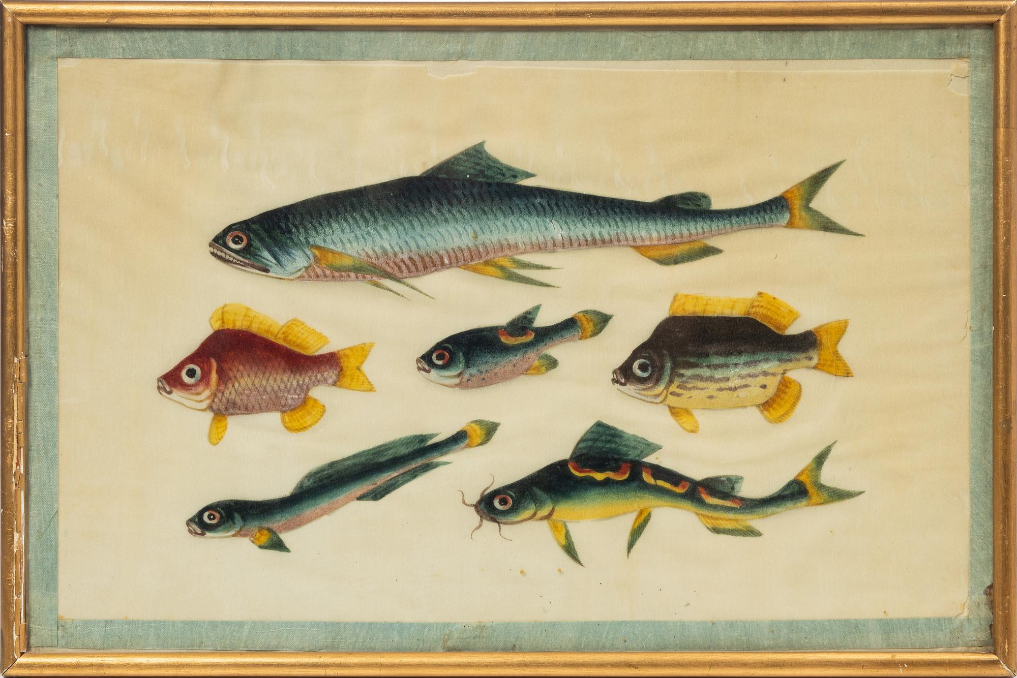 Rispappersmålningar, 9 stycken. Qingdynastin, 1800-tal.