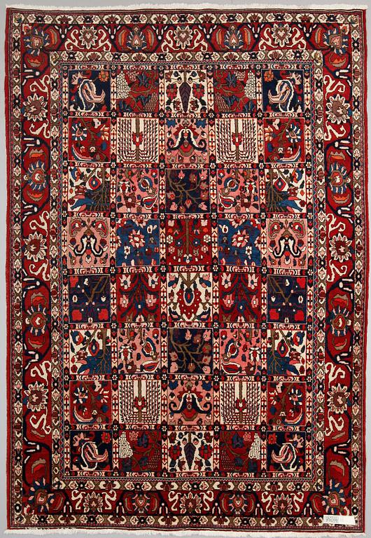 MATTA, orient. 305 x 210 cm.