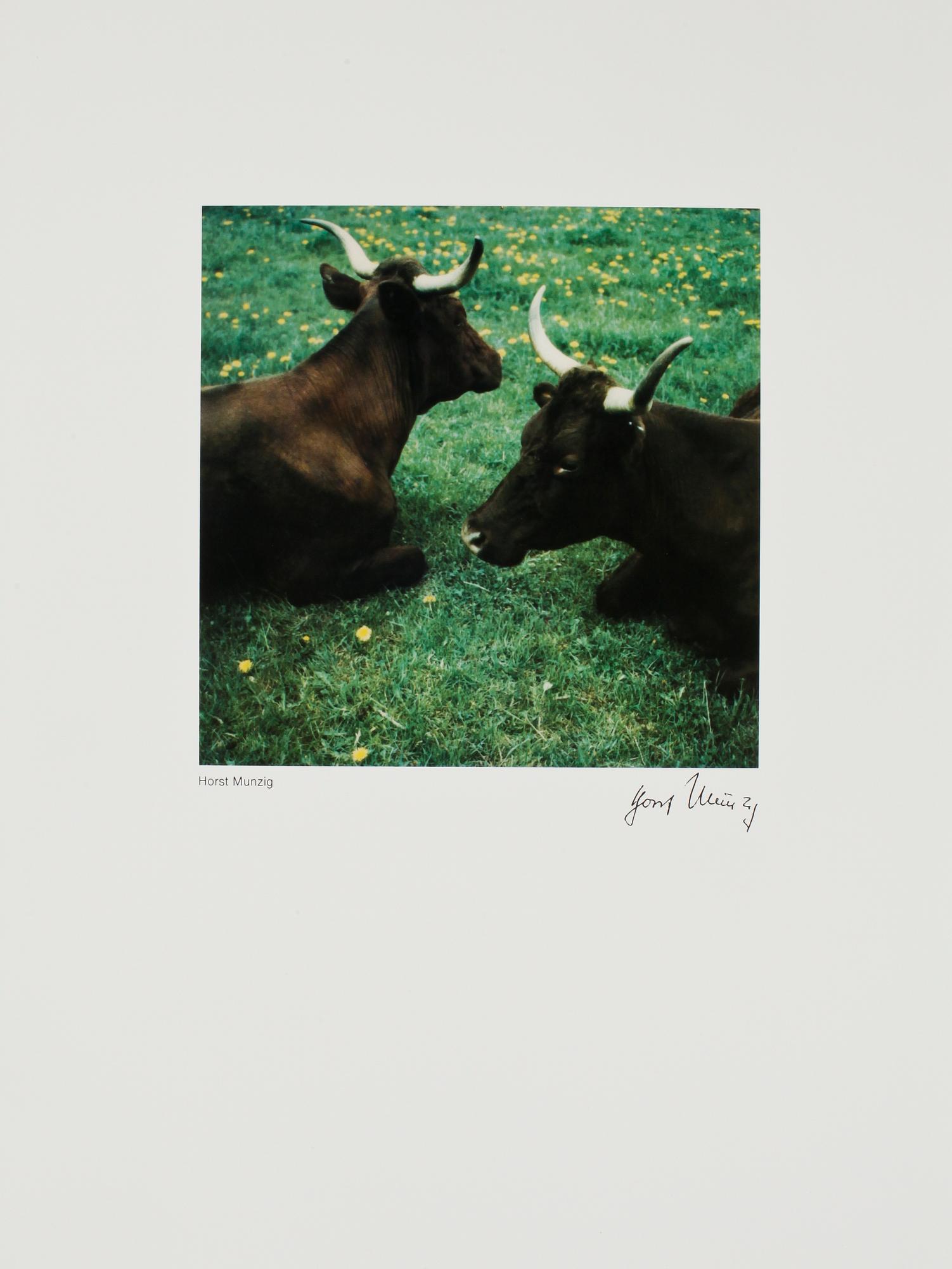 FOTOGRAFISK MAPP, "12 Instant Images", Polaroid SX-70.