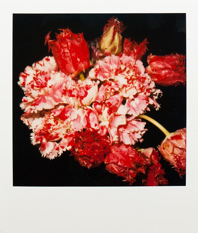 NOBUYOSHI ARAKI, polaroid, sign a tergo.