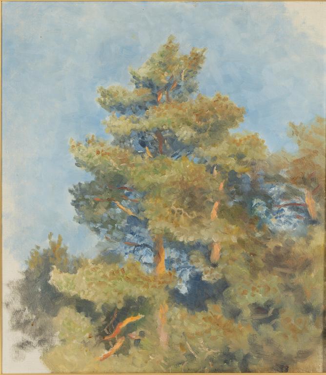 Bruno Liljefors, Sunlit Pine.