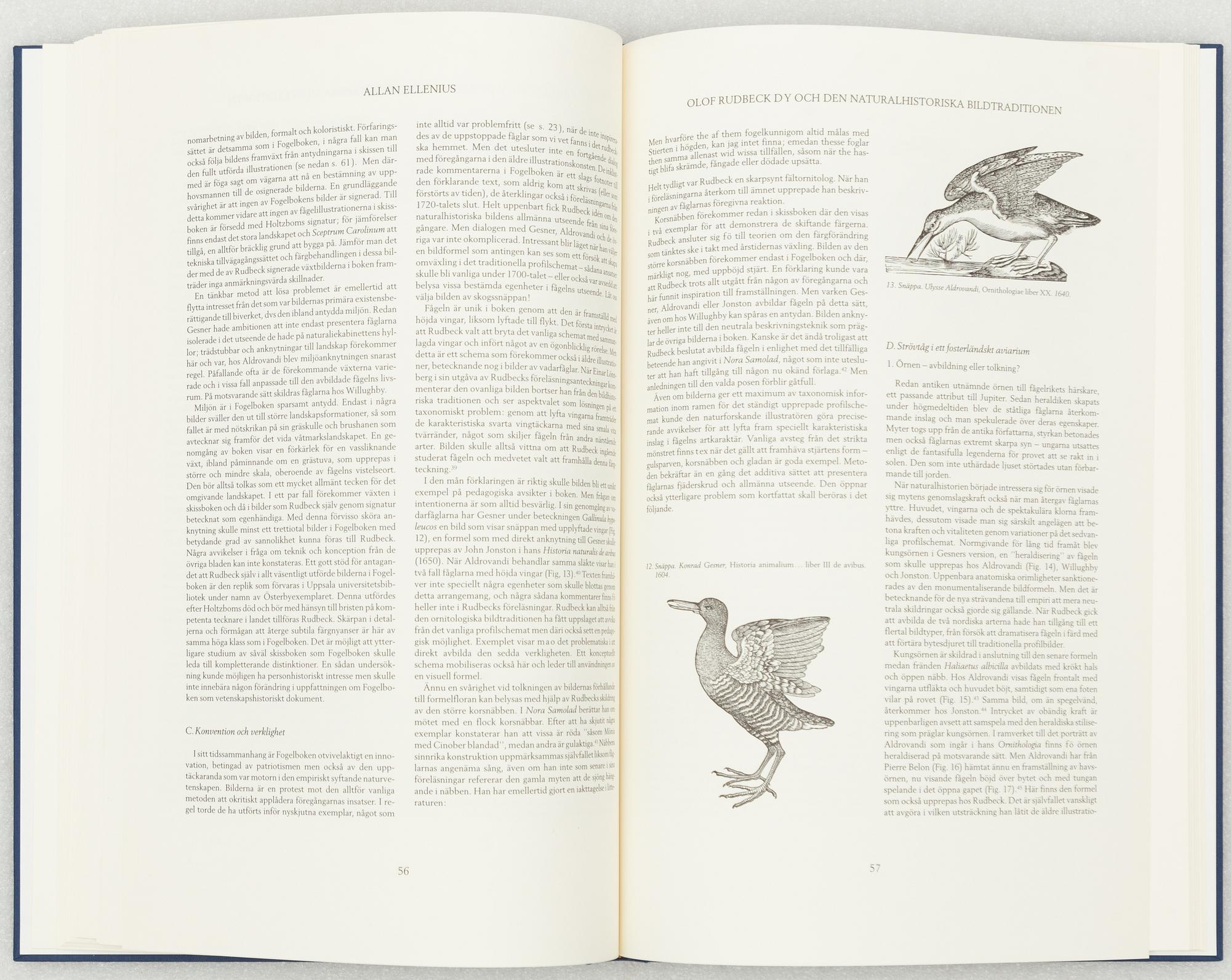Olof Rudbeck d.y., "Svenska fåglar".