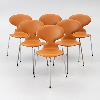 Arne Jacobsen, Stolar, 6 st, "Myran", Fritz Hansen, 1950/60-tal.