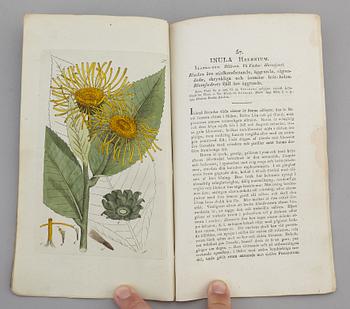 JOHAN WILHELM PALMSTRUCH, "Svensk Botanik, vol I-V. 1803-1805.
