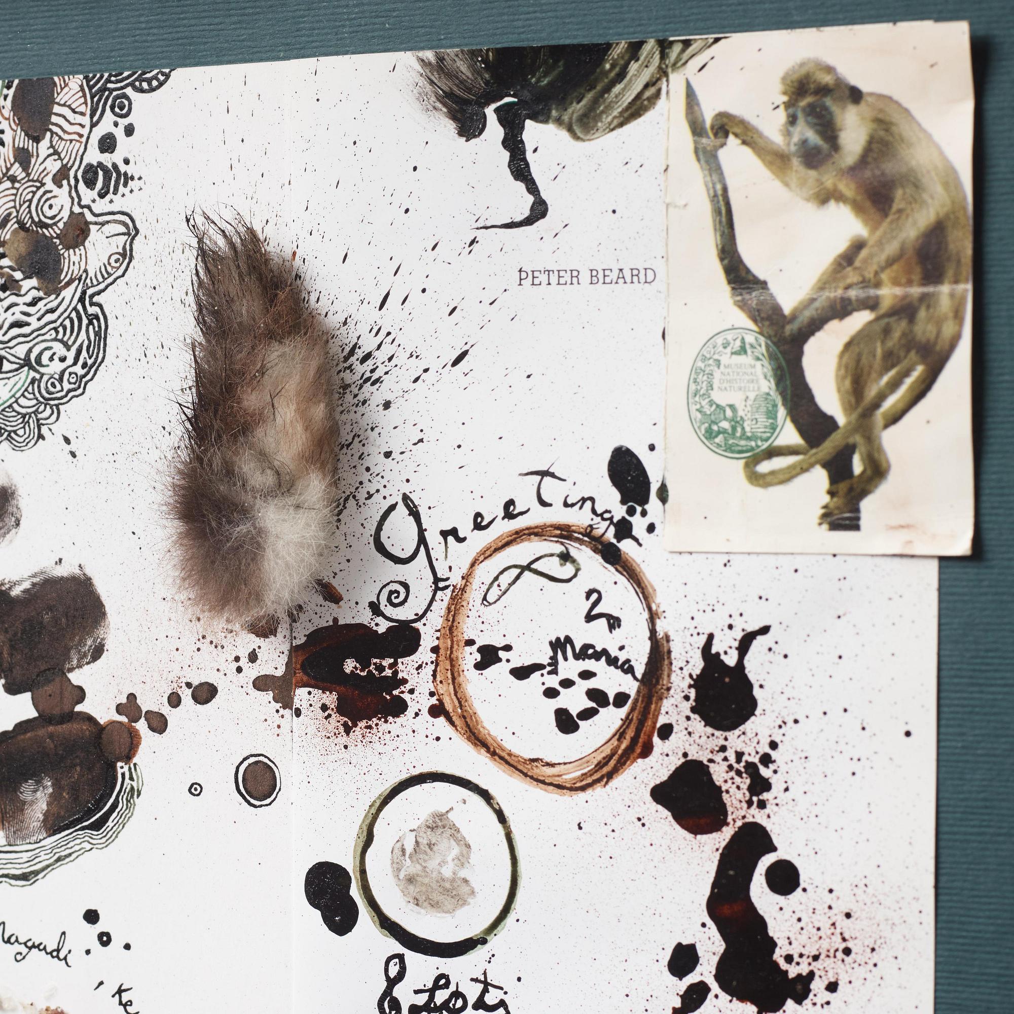 Peter Beard, "Lake Magali, Kenya".