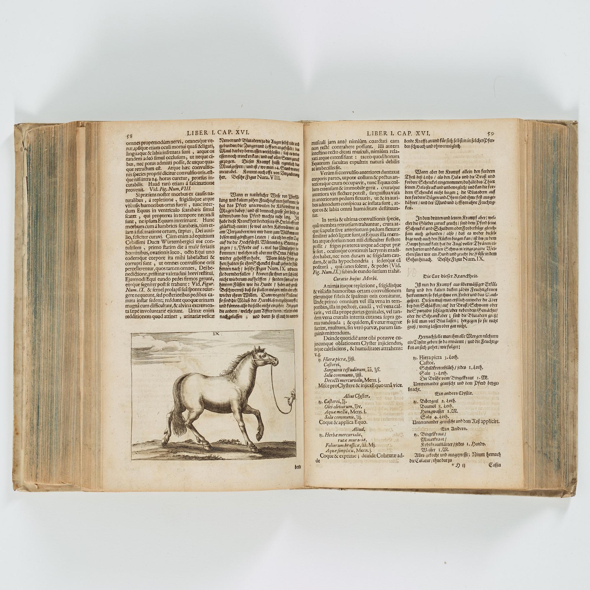 GEORG SIMON WINTER VON ADLERSFLÜGEL, Bellerophon, sive Eques peritus..", Nuremberg Wolfgang Moritz Endter, 1678.