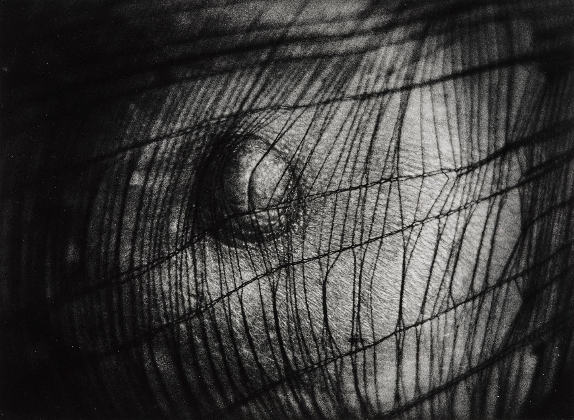 Christer Strömholm, "Fox Amphoux", 1987.