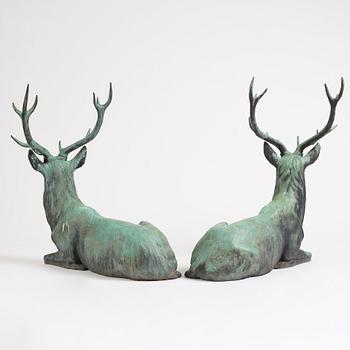 A pair of red deer.