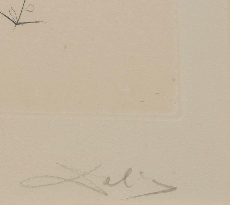 SALVADOR DALÍ,