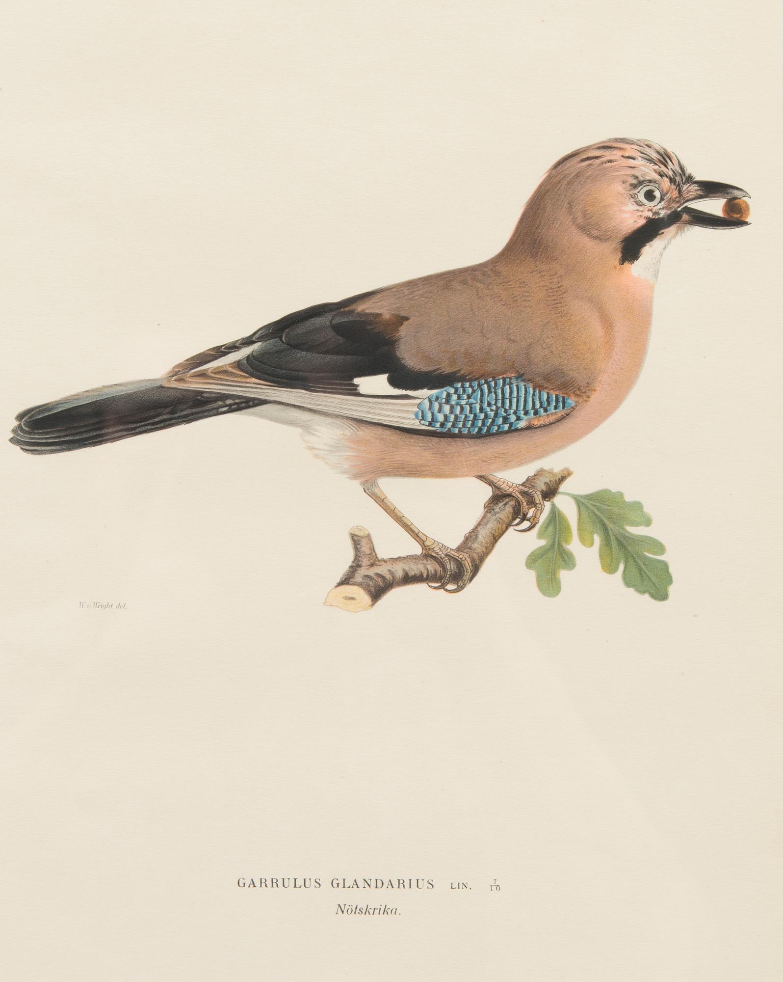 LITOGRAFIER, 4 st, efter Wilhelm och Magnus von Wright, A. Börtzell, Stockholm.