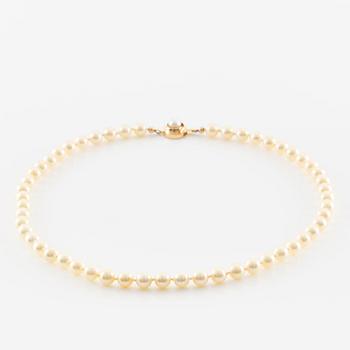 Necklace of cultured pearls with an 18K gold clasp and a cultured pearl.