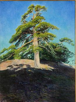 Arthur Bianchini, "Tall i morgonsol".