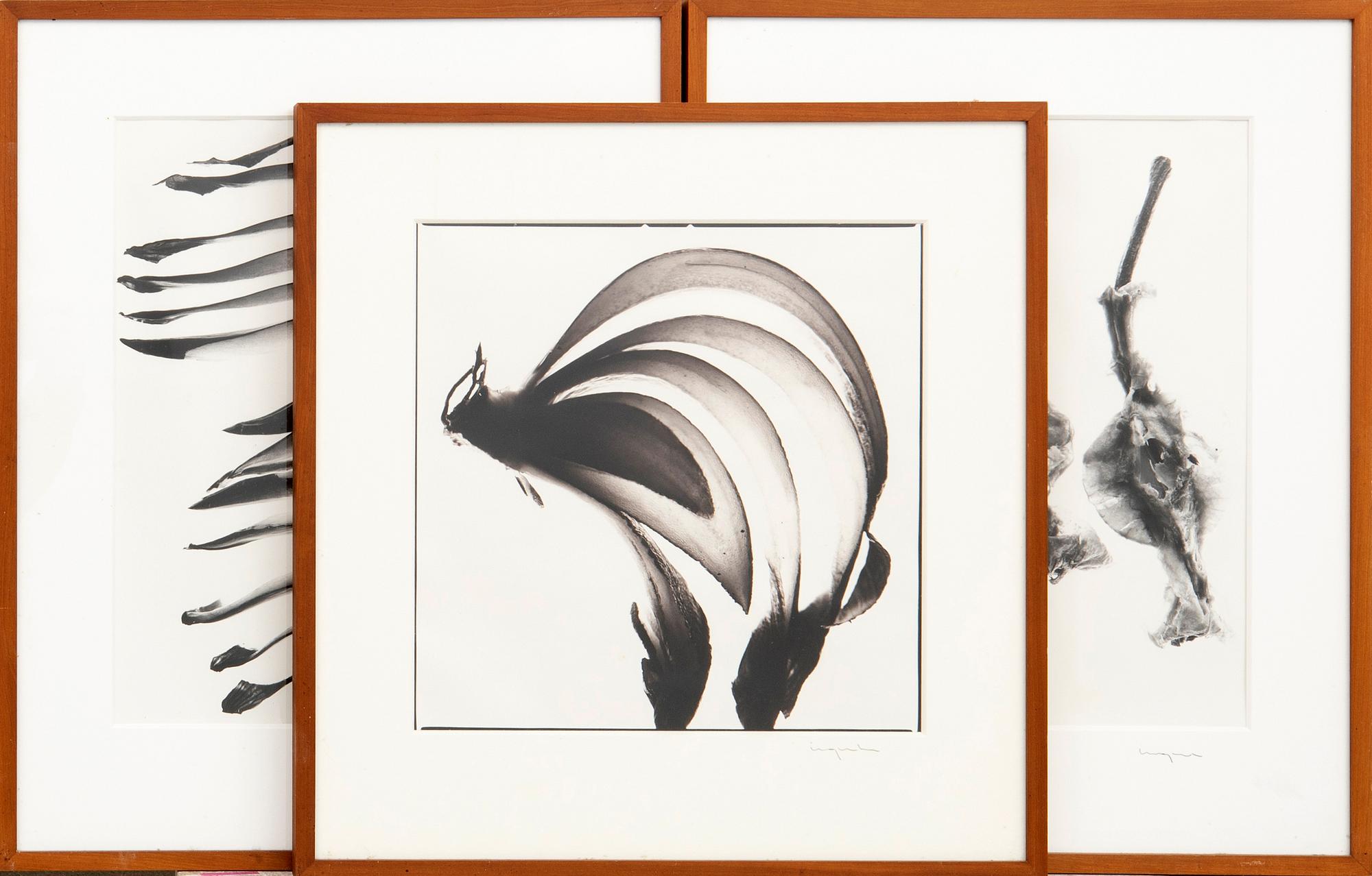 Ingvar Eriksson, photographs 3 pcs Untitled.