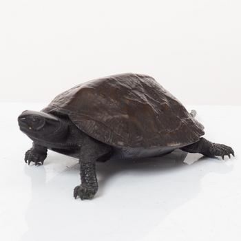 A Japanese bronze okimono of a turtle, Meiji (1868-1912).