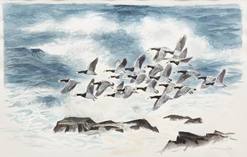 Gunnar Brusewitz, White-fronted Geese.