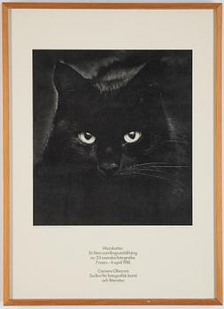 Edouard Boubat and group exhibition with Swedish photographers, 2 exhibition posters from Camera Obscura 1981.