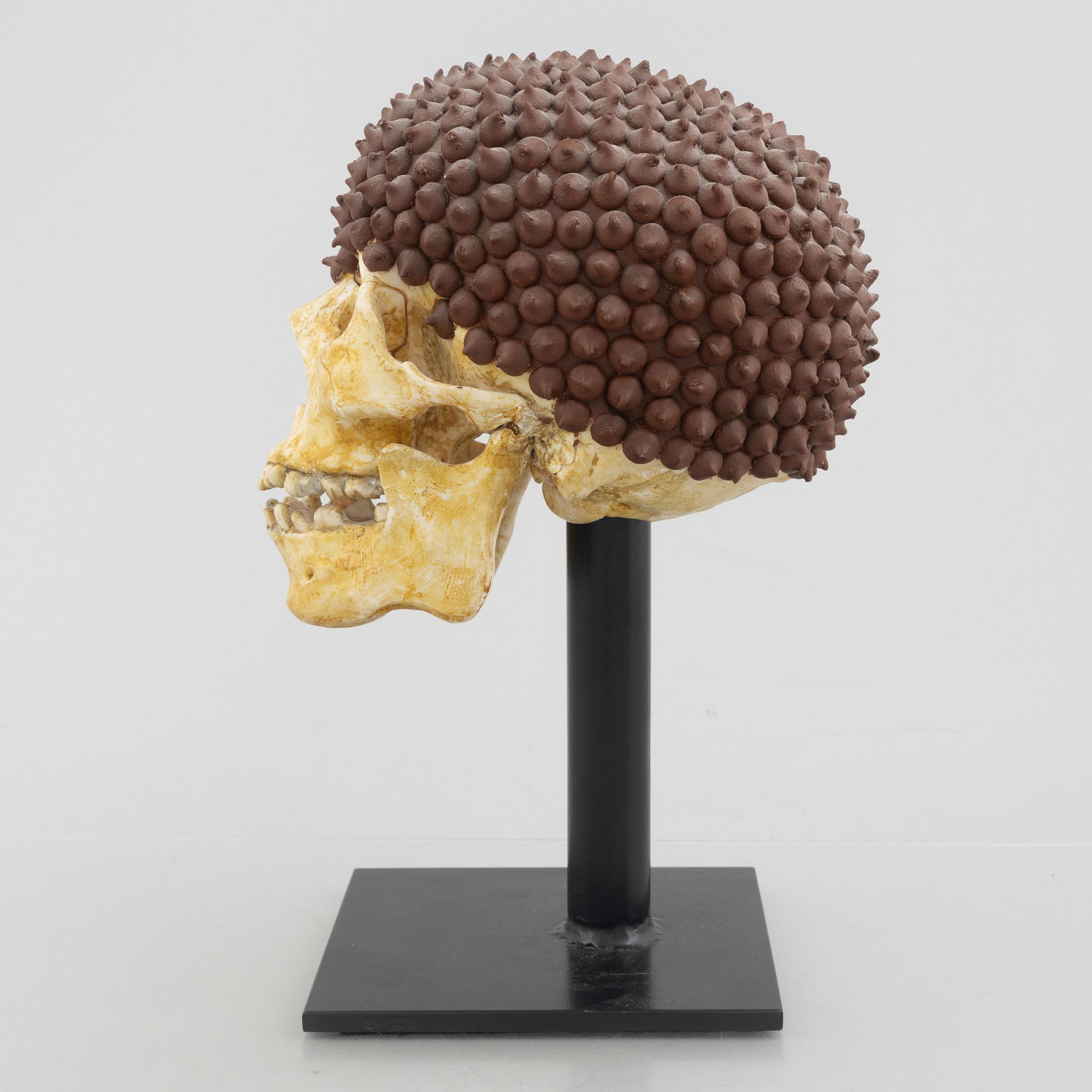 Rinaldo Frattolillo, "Damius Chocolatchipus".
