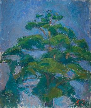 SIGRID SCHAUMAN, "TOP OF A PINE TREE".